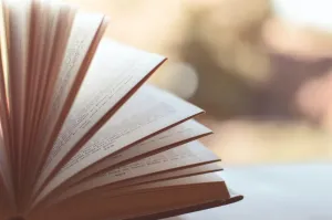 Jakie kable głośnikowe warto kupić?