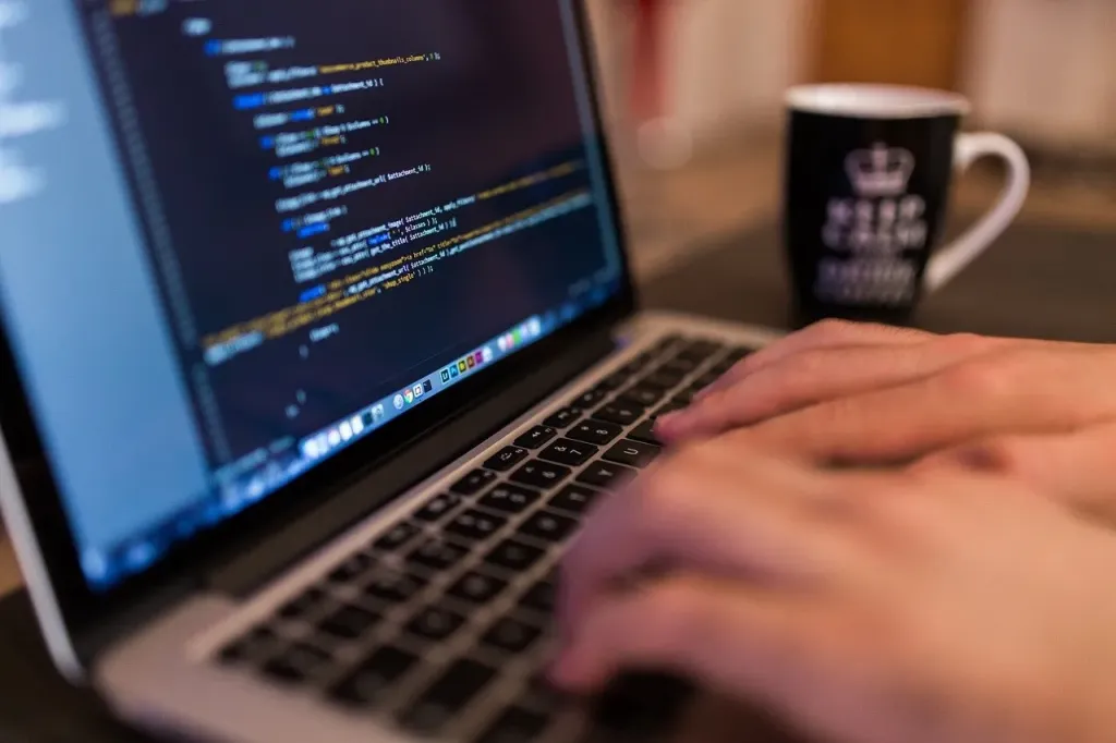 WordPress programista - kim jest i jak nim zostać?